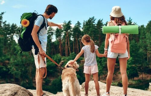 ¡Hacer El Camino de Santiago con niños es posible!