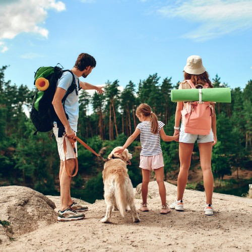 ¡Hacer El Camino de Santiago con niños es posible!